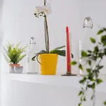Cruwzo I In Apartment