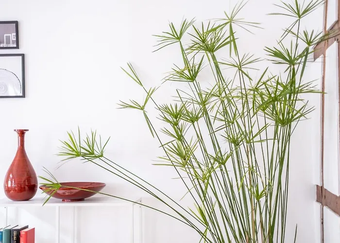 Cruwzo I In Διαμέρισμα *