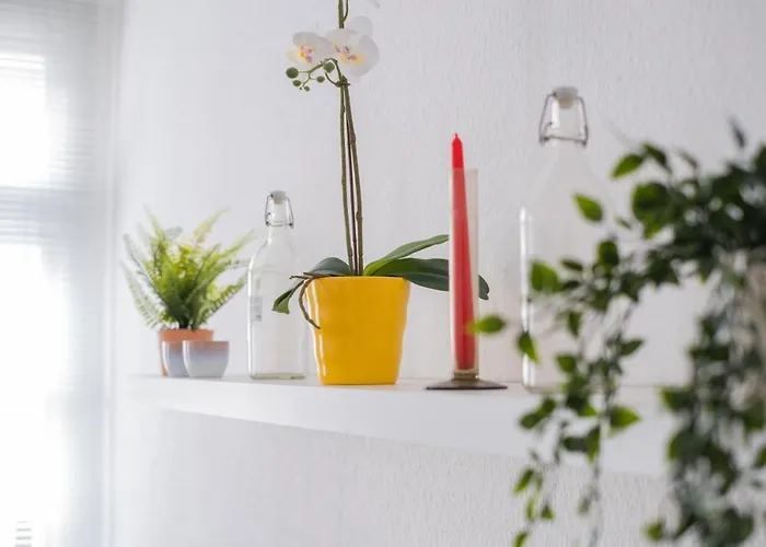 Cruwzo I In Διαμέρισμα